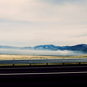 Odkurzamy nasze umiejętności analizy tekstu literackiego