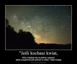 „Mały Książę”