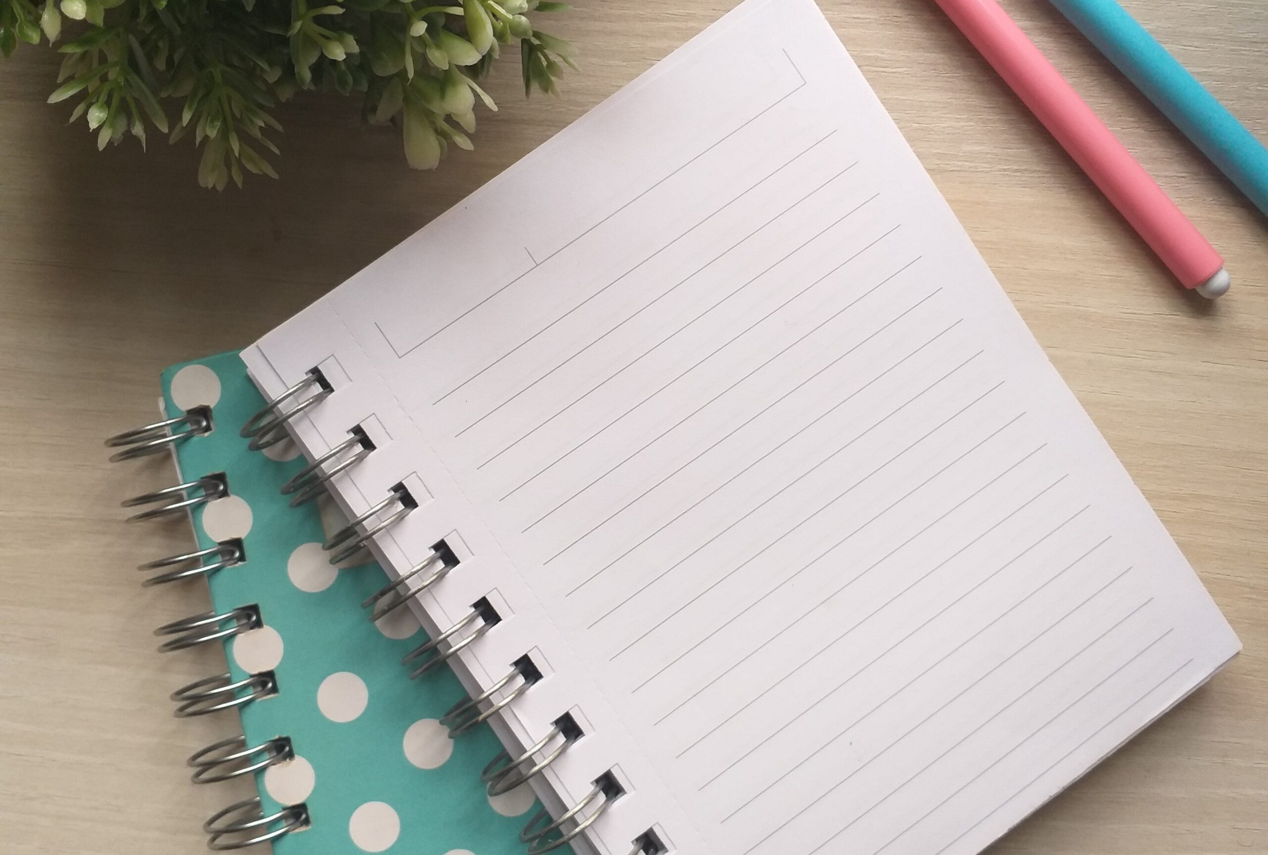 Shekarestan Notebook Szkolny słownik polsko – ukraiński | Agnieszka Kochan